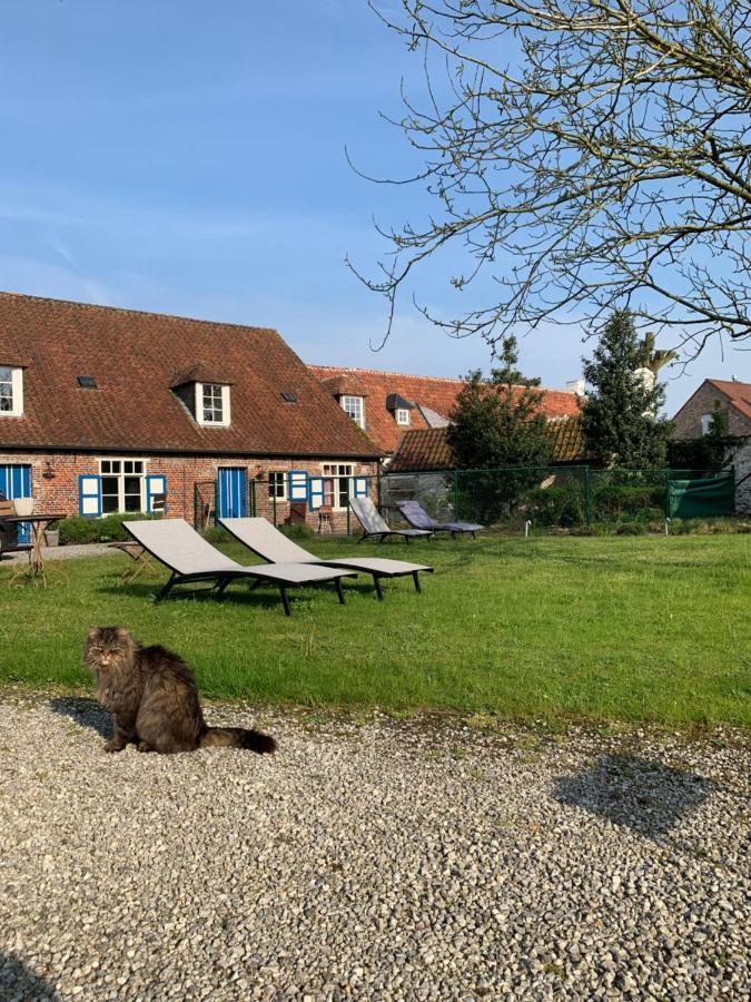 Hamiora Wellness B&B Deinze Exteriör bild