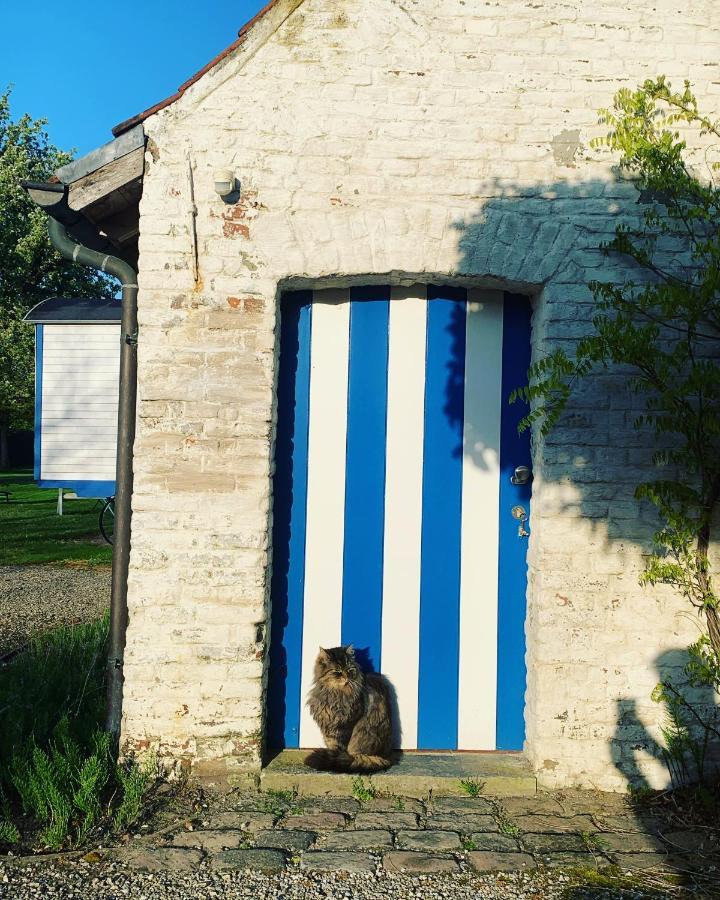 Hamiora Wellness B&B Deinze Exteriör bild