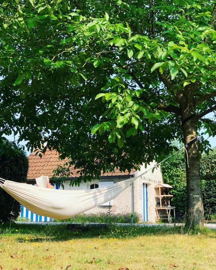 Hamiora Wellness B&B Deinze Exteriör bild