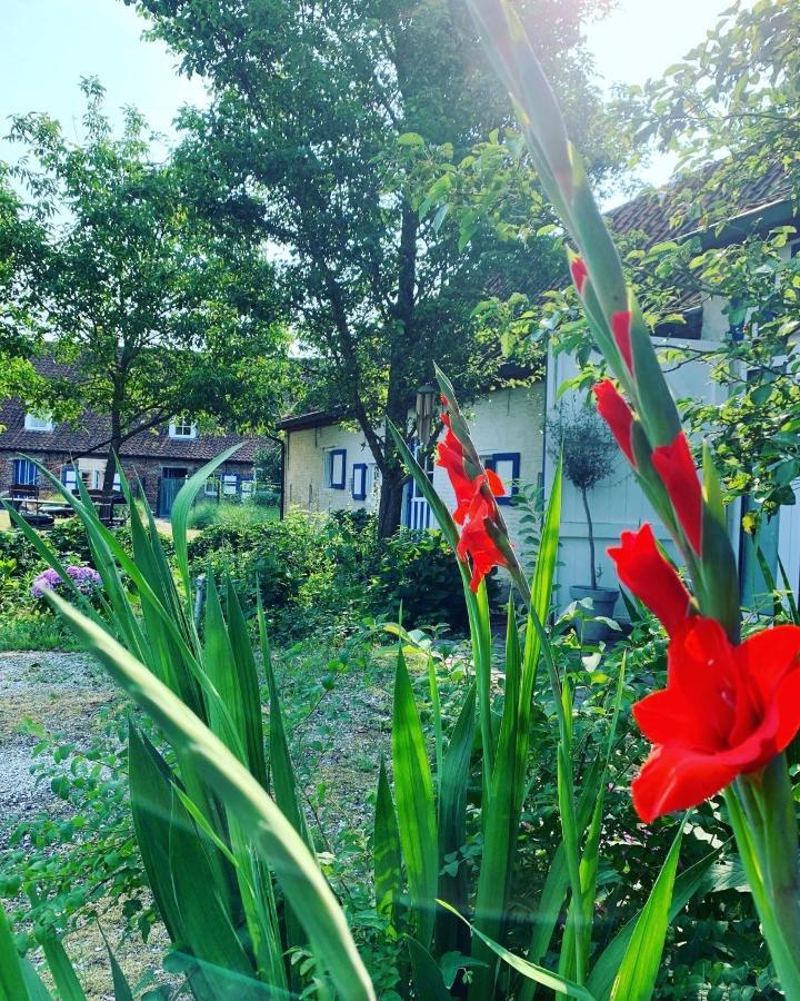 Hamiora Wellness B&B Deinze Exteriör bild