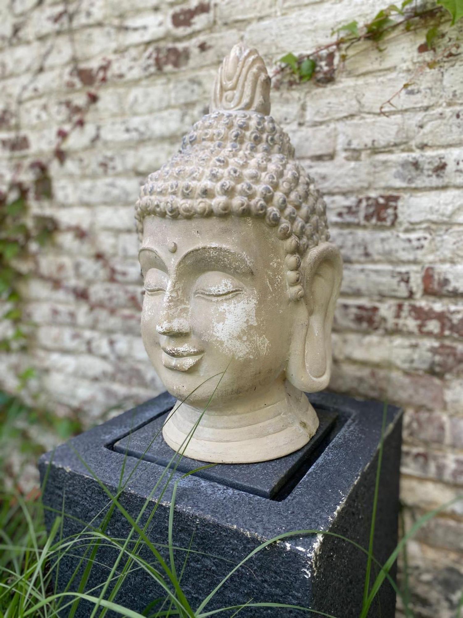 Hamiora Wellness B&B Deinze Exteriör bild