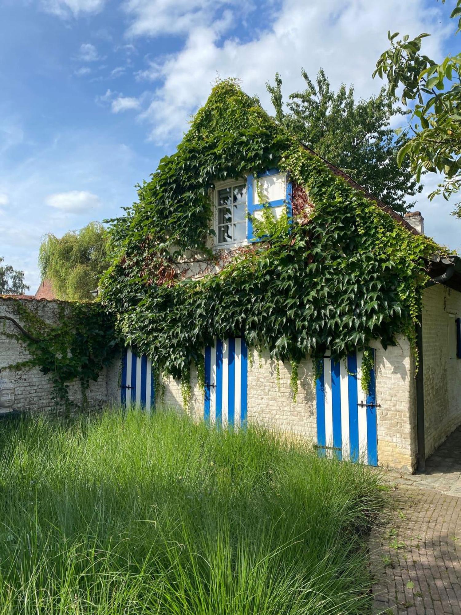 Hamiora Wellness B&B Deinze Exteriör bild