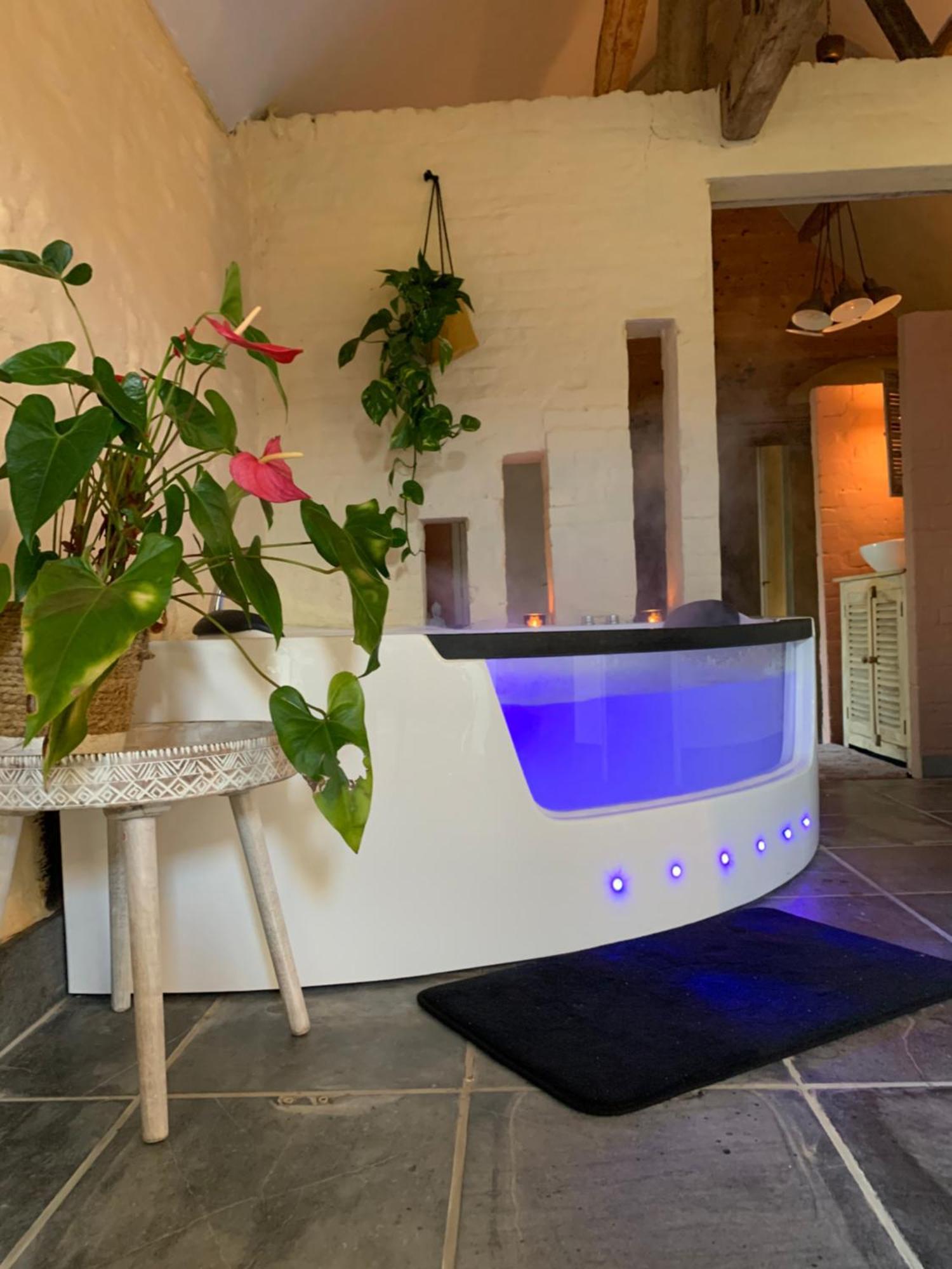 Hamiora Wellness B&B Deinze Exteriör bild
