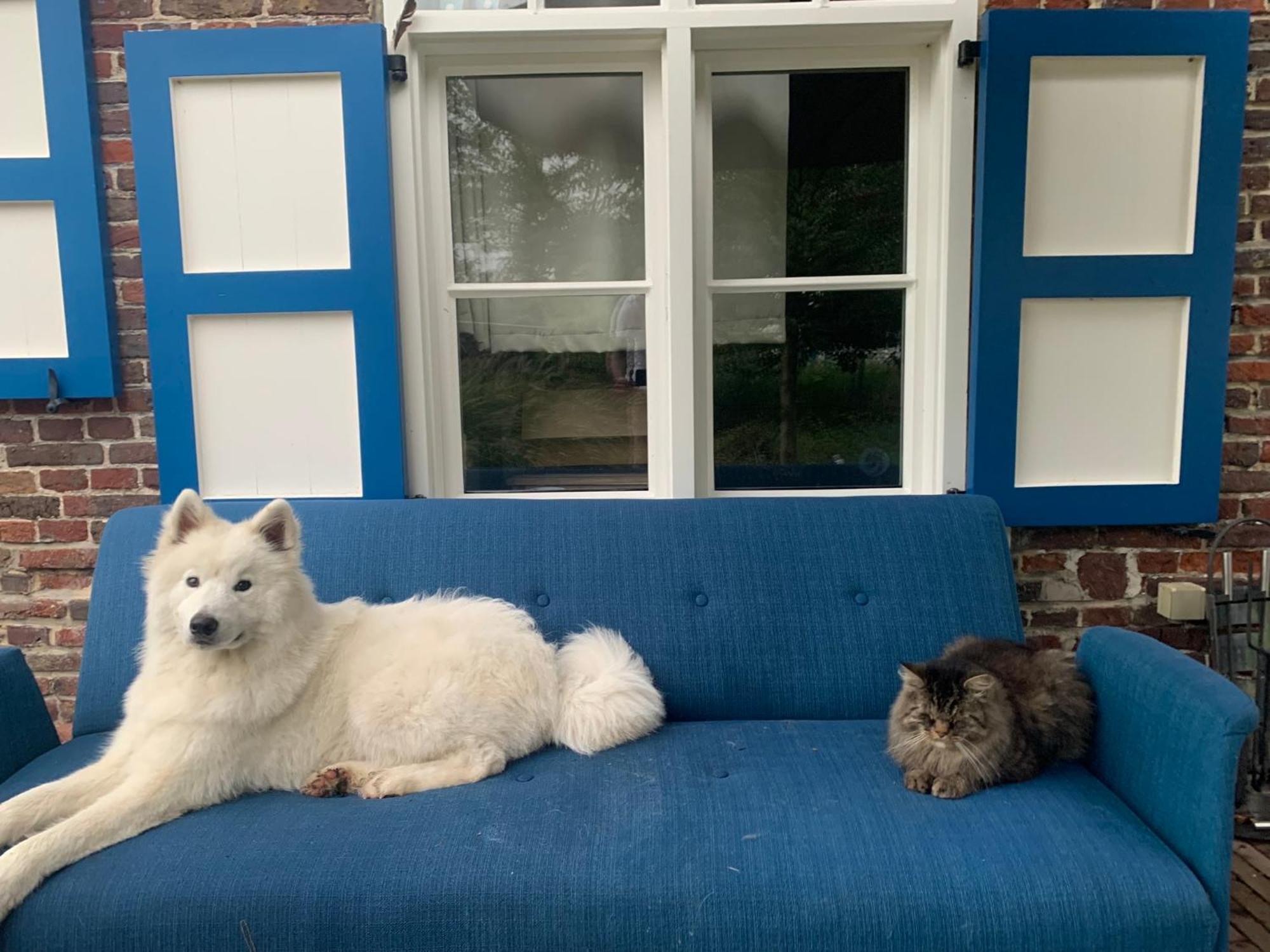 Hamiora Wellness B&B Deinze Exteriör bild