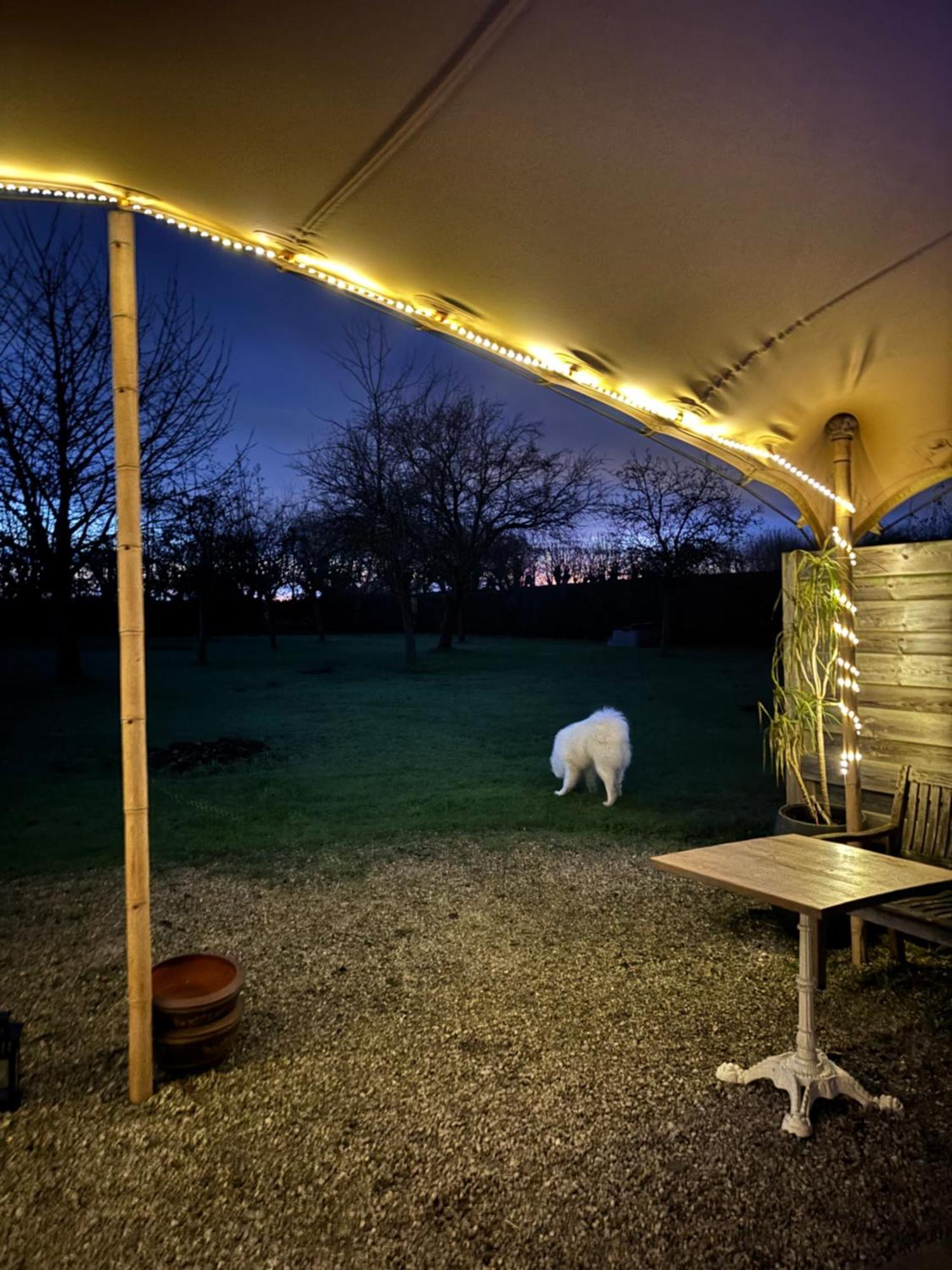 Hamiora Wellness B&B Deinze Exteriör bild