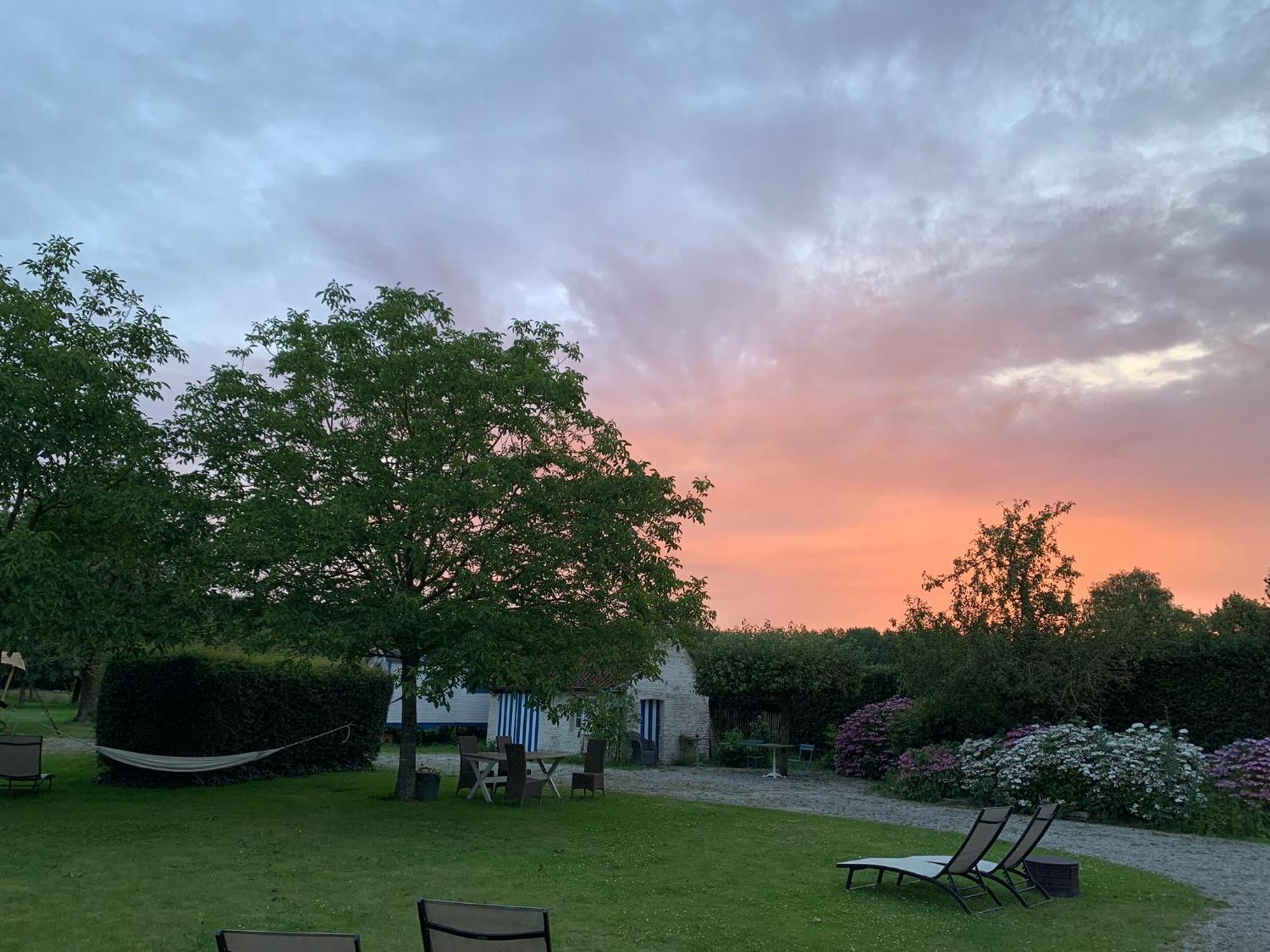 Hamiora Wellness B&B Deinze Exteriör bild