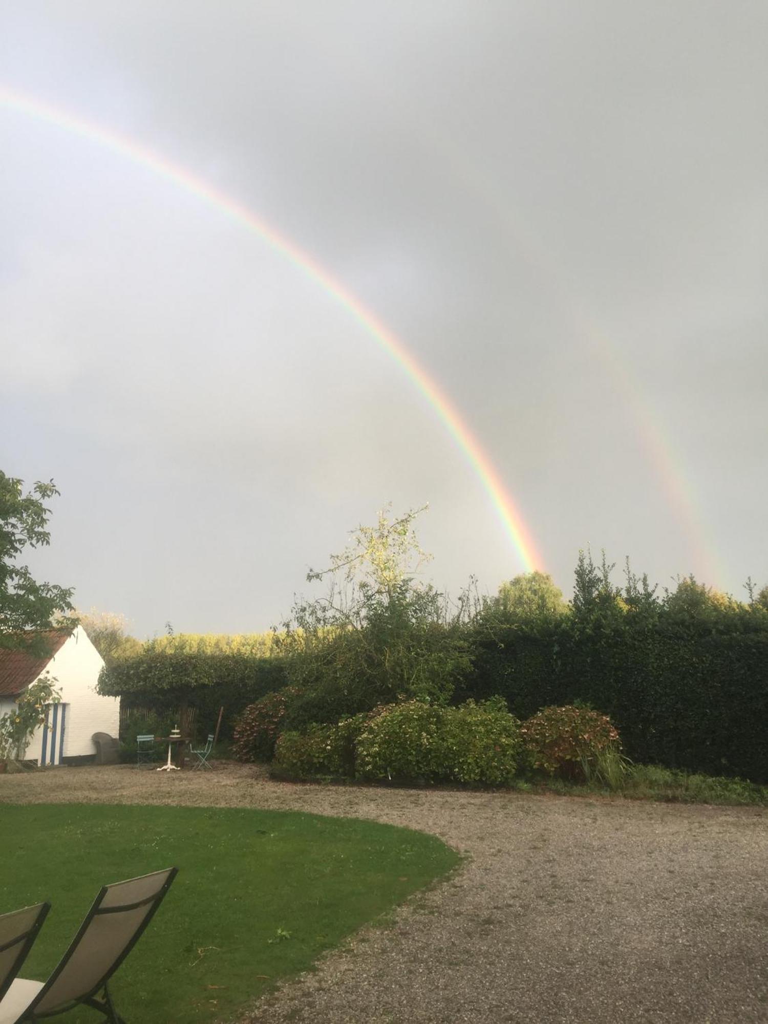 Hamiora Wellness B&B Deinze Exteriör bild