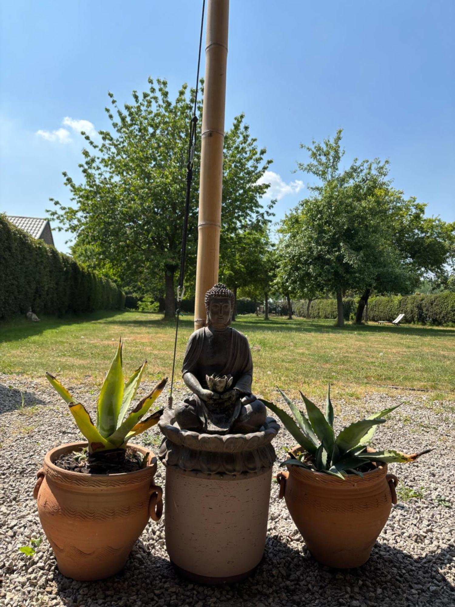 Hamiora Wellness B&B Deinze Exteriör bild