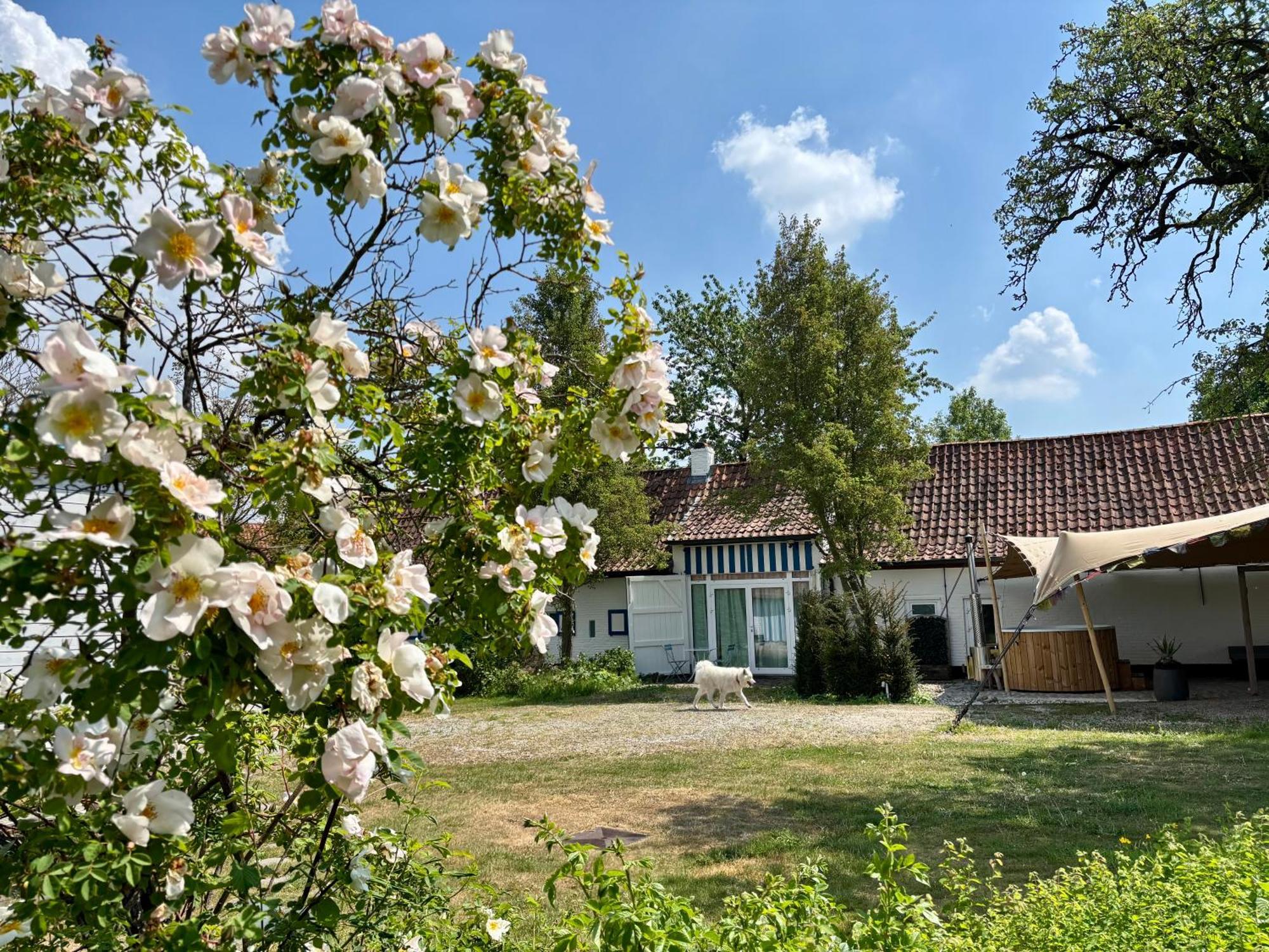 Hamiora Wellness B&B Deinze Exteriör bild